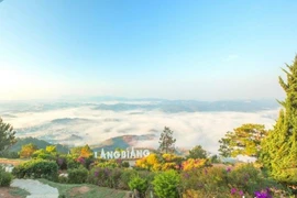 Là-haut, sur la montagne Langbiang