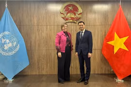 L’UNICEF apprécie la mise en œuvre par le Vietnam de politiques de soins et de protection d’enfants