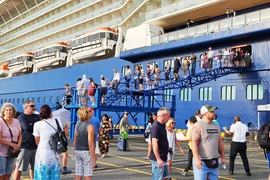 Les Viêt kiêu voyagent massivement au Vietnam pendant le Têt du Dragon