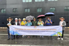 Plus de 2 000 croisiéristes débarquent à Da Nang le 2 janvier