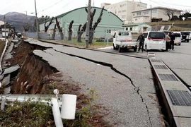 Aucun Vietnamien n'a été tué ou blessé lors du séisme au Japon