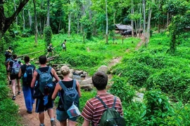 Réveiller le potentiel de l'écotourisme forestier