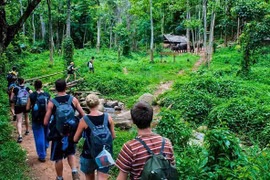 Réveiller le potentiel de l'écotourisme forestier