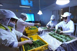 Les exportations de fruits et légumes devraient atteindre 6,5 à 7 milliards de dollars cette année