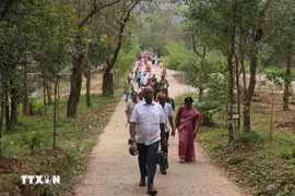 Les Indiens sont toujours plus nombreux à voyager en solo au Vietnam