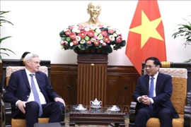 Le ministre des AE Bui Thanh Son reçoit le premier vice-ministre russe des AE V. Titov