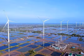 La BAD soutient le Vietnam dans la réponse au changement climatique