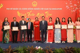 Les Vietnamiens d'outre-mer célèbrent le Têt du Dragon