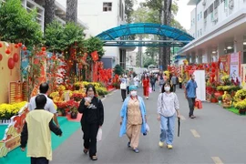 Des "rues aux fleurs" qui apportent du réconfort aux patients hospitalisés pendant le Têt