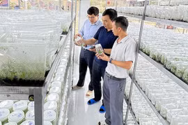 Les entreprises vietnamiennes sont prêtes pour la transformation numérique et la transition verte