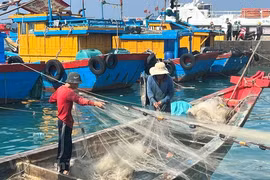 Binh Thuân déterminée à ne laisser aucun navire de pêche violer les eaux étrangères