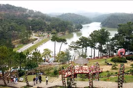 Da Lat, destination touristique la plus populaire pour les vacances du Têt 2024