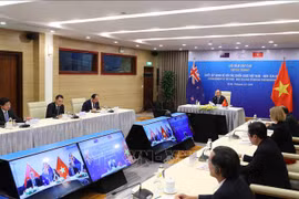 Vietnam-Nouvelle-Zélande: entretien en ligne entre les deux Premiers ministres 