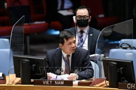 Le Vietnam exhorte les parties à accepter la proposition de paix pour le Yémen dirigée par l'ONU