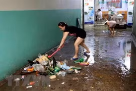 Da Nang investit dans des technologies avancées pour le traitement de ses déchets