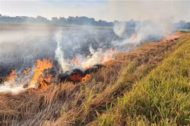 Le Vietnam recevra plus de 51 millions de dollars en réduisant les émissions de gaz à effet de serre