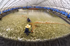 Le 3e Forum agricole Vietnam-Australie