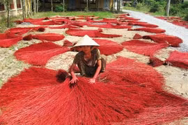 Le village de tissage de nattes de Dinh Yen