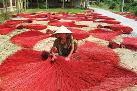 Le village de tissage de nattes de Dinh Yen