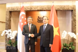 Ho Chi Minh-Ville accélère la coopération intégrale avec Singapour