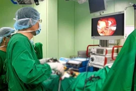 Trois scientifiques vietnamiens récompensés par le Prix Alexandre Yersin