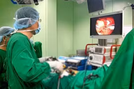 Trois scientifiques vietnamiens récompensés par le Prix Alexandre Yersin