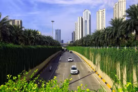 Hanoï renforce le "verdissement" de voies de circulation