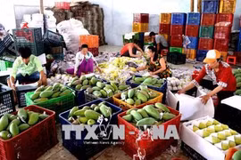 Le Vietnam augmente ses exportations de produits industriels et agricoles vers la Chine 