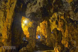 Remplacer la cérémonie d'ouverture de l'Année nationale du tourisme 2020 par un autre événement