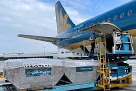 COVID-19: Vietnam Airlines achève le transport du vaccin AstraZeneca aux villes et provinces