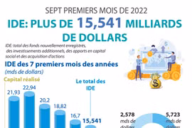 IDE: plus de 15,541 milliards de dollars en sept mois 