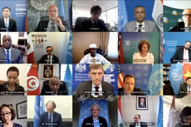 Le Vietnam souligne le rôle central d'une solution politique intégrale pour la Syrie