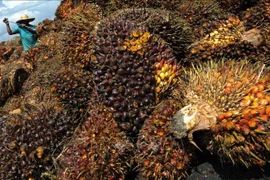 Le chiffre d'affaires à l'import-export de la Malaisie devrait croître cette année