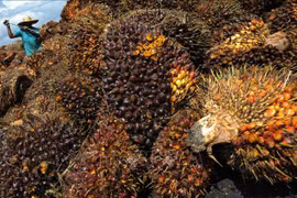 Le chiffre d'affaires à l'import-export de la Malaisie devrait croître cette année