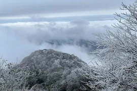 Le Nord accueille une nouvelle vague de froid