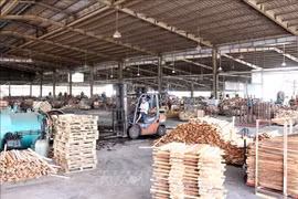 EVFTA: opportunités de développement durable pour la filière bois du Vietnam