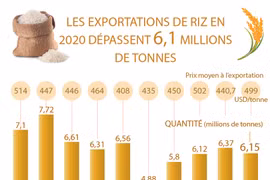 Les exportations de riz en 2020 dépassent 6,1 millions de tonnes