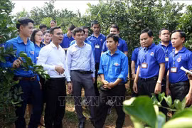 Vietnam-Laos : échanges renforcés entre les jeunes