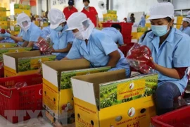 Les autorités de la Colombie-Britannique apprécient le dynamisme de l'économie vietnamienne
