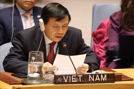 Le Conseil économique et social des Nations Unies (ECOSOC) et les empreintes du Vietnam