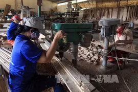 Janvier : les exportations de produits sylvicoles en hausse de 11%