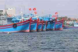 Lutte contre la pêche INN: Tien Giang soutient la pêche hauturière