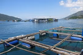 Un plan de développement pour réaliser le fort potentiel du pays