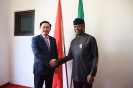 Entretien entre le vice-Premier ministre Vuong Dinh Hue et le vice-président nigérian