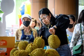 COVID-19 : l'évolution de l'épidémie dans des pays d'Asie du Sud-Est