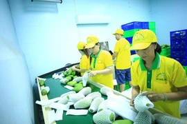 Vina T&T exporte 71 tonnes de mangues aux États-Unis