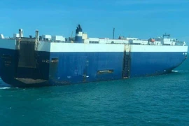 Incendie à bord d’un navire étranger au large de Bà Ria-Vung Tàu