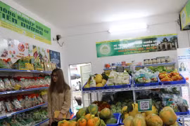 Hô Chi Minh-Ville : l'IPC en hausse de 0,11%