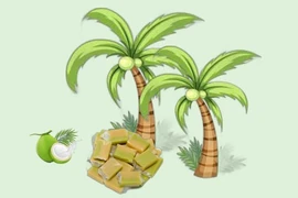 La production de noix de coco devrait atteindre 2,1 à 2,3 millions de tonnes d'ici 2030