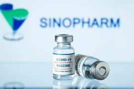 Résolution du gouvernement sur l'achat de 20 millions de doses du vaccin Vero Cell